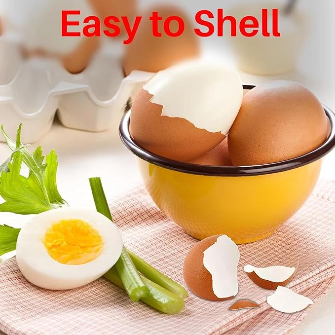 Rapid Egg Cooker